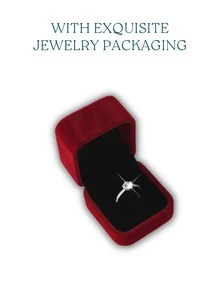 迷人的圓形人造碳化鎵純銀耳釘,女士送禮、婚禮、訂婚和新娘珠寶用品 - 3克拉+3克拉 - 查看 6