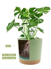 QCQHDU 花盆套裝 2入組 8 英寸，帶有排水孔和可拆卸底座的室內植物花盆，室外花園花盆的碟式現代裝飾（綠色）