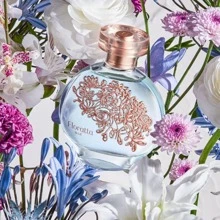 O Boticário Perfume and Fragrances - Một cỡ - Xem 5