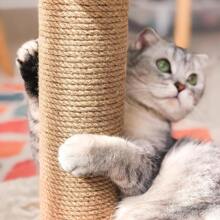 2 Piezas De Repuesto Para Poste De Rascar Para Gato, Piezas De Repuesto Para Árbol Para Gato Pesado Diy, Poste De Cuerda De Yute De 3,35 X 11,8 Pulgadas, Accesorios Duraderos Para Torre De Gato Para Gatos Grandes, Tornillos M10 Incluidos - Amarillo - Ver 7