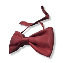 Men Ties - Rose Red - View 2