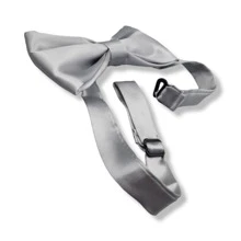 Men Ties - Silver - View 3