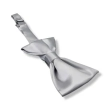 Men Ties - Silver - View 4