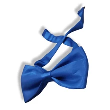 Men Ties - Royal Blue - View 2