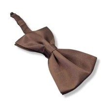 Men Ties - Rust Brown - View 4