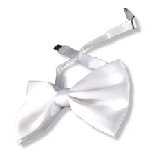 Men Ties - White - View 2