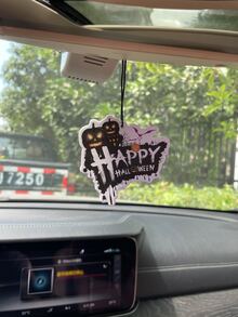 汽车香薰空气清新剂香味带后视镜挂件衣柜卫生间客厅卧室香薰家用香薰