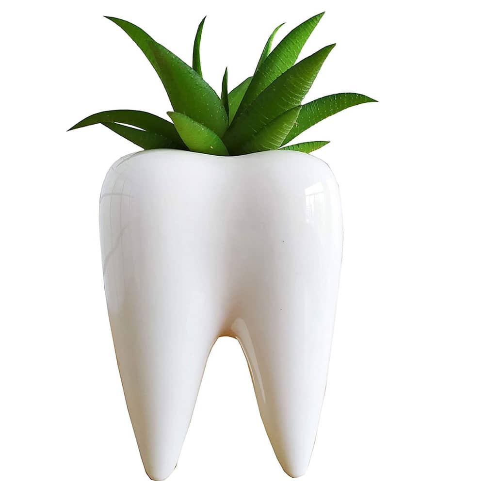 HappyWare Ceramic Pot In The Shape Of A Wheel For Succulent Plants And Cacti - White - View 1