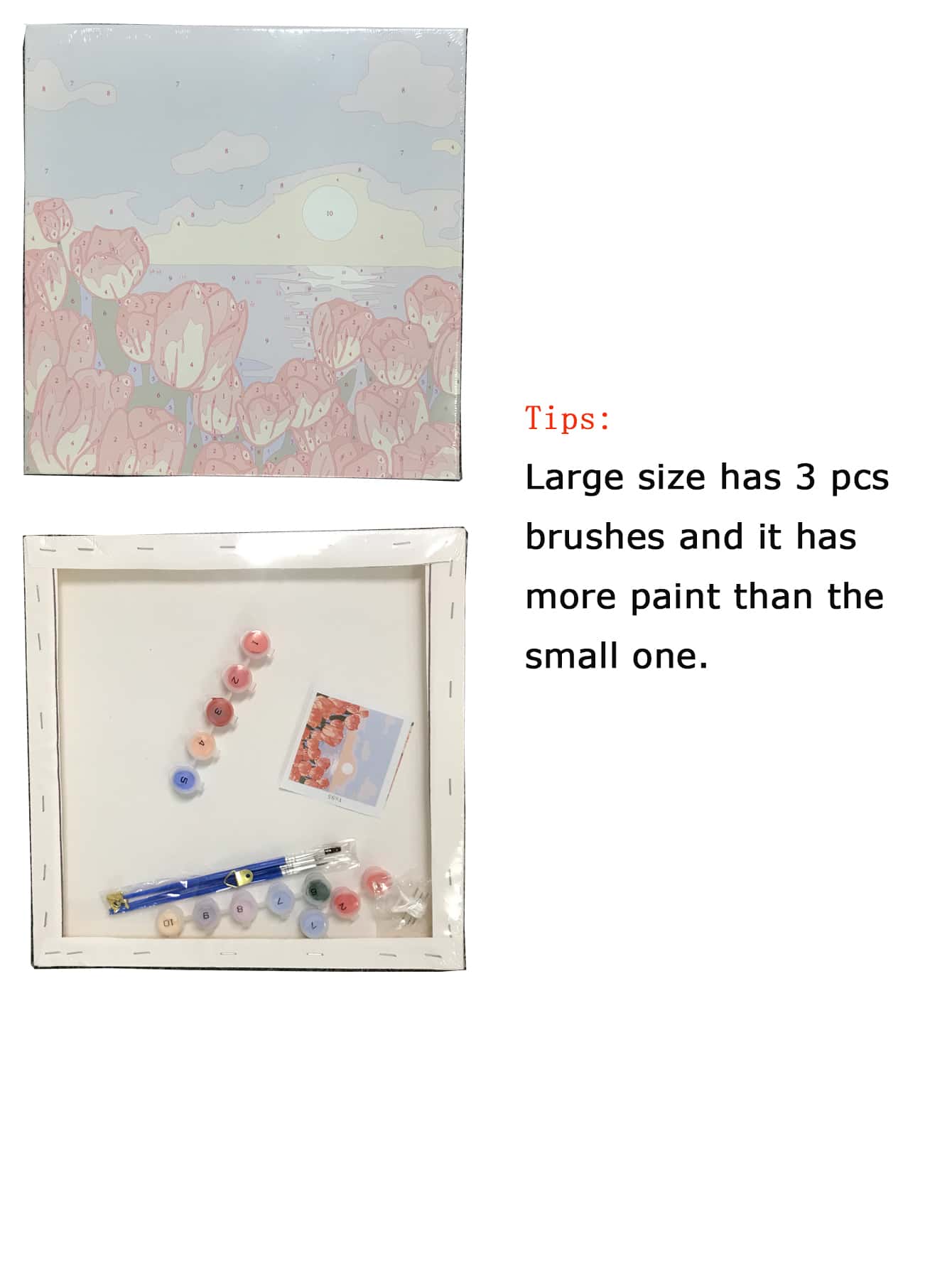 Adult Beginner Digital Oil Painting, 20x20 Inch/30x30 Inch Canvas, Includes 2 Paintbrushes, Acrylic Paints, Floral And Landscape Patterns