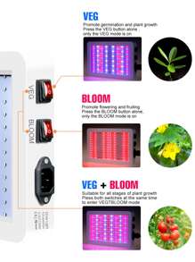 CanLing 500w全光譜led植物生長燈ac100-277v專業植物補光燈ip65防水室內種植燈,具有開花/蔬菜兩種模式可調光300w溫室帳篷栽培燈110v / 220v通用的紫外線紅外線水培燈,適用於蔬菜、水果、種子、多肉植物的紅光和藍光促進光合作用,含掛鉤、美式/歐式插頭、216/312個led晶片 - 白色 - 查看 3