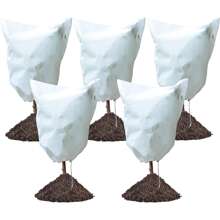 植物覆蓋 - 白色 - 查看 1