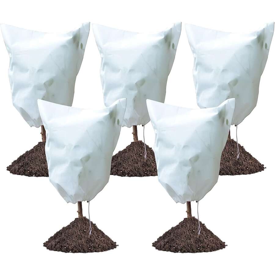 植物覆蓋 - 白色 - 查看 1