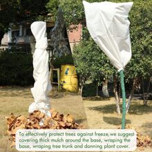 植物覆蓋 - 白色 - 查看 3