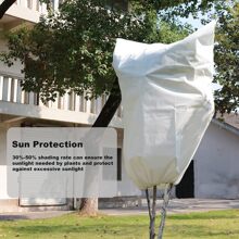 植物覆蓋 - 白色 - 查看 4