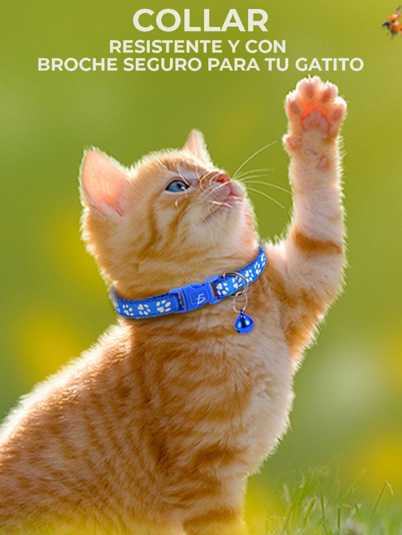 Collar Para Mascotas MAS.09.3 visibilidad en condiciones de baja luz coloca el nombre y número de contacto  Para perros y gatos previniendo accidentes y asegurando ELE-GATE - Multicolor - Ver 1