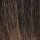 Ombre