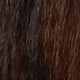 Pelbagai warna