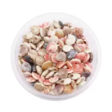 1 Box Of Tiny Seashell Snail Shell Beads Pendants Charms For Jewelry Wish Message Bottle Necklace Candle Making,Miniature Scene Decoration Craft DIY 40g (350-390pcs) No Hole Holiday