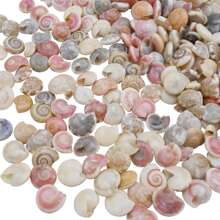 1 Box Of Tiny Seashell Snail Shell Beads Pendants Charms For Jewelry Wish Message Bottle Necklace Candle Making,Miniature Scene Decoration Craft DIY 40g (350-390pcs) No Hole Holiday