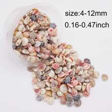 1 Box Of Tiny Seashell Snail Shell Beads Pendants Charms For Jewelry Wish Message Bottle Necklace Candle Making,Miniature Scene Decoration Craft DIY 40g (350-390pcs) No Hole Holiday