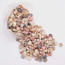 1 Box Of Tiny Seashell Snail Shell Beads Pendants Charms For Jewelry Wish Message Bottle Necklace Candle Making,Miniature Scene Decoration Craft DIY 40g (350-390pcs) No Hole Holiday