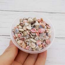 1 Box Of Tiny Seashell Snail Shell Beads Pendants Charms For Jewelry Wish Message Bottle Necklace Candle Making,Miniature Scene Decoration Craft DIY 40g (350-390pcs) No Hole Holiday