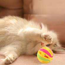 貓玩具格子球帶鈴散裝寵物塑料鈴鐺玩具 - 彩色 - 查看 4