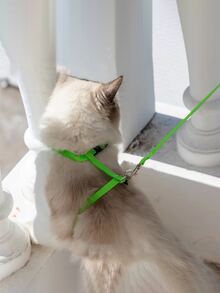 Correa de gato, diseñado para gatos - Verde - Ver 7