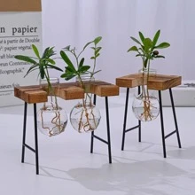 1 件裝植物繁殖站桌面空氣植物玻璃容器、玻璃花盆燈泡玻璃花瓶帶木架繁殖站適用於水耕植物家庭辦公室花園裝飾 - 棕色 - 查看 1