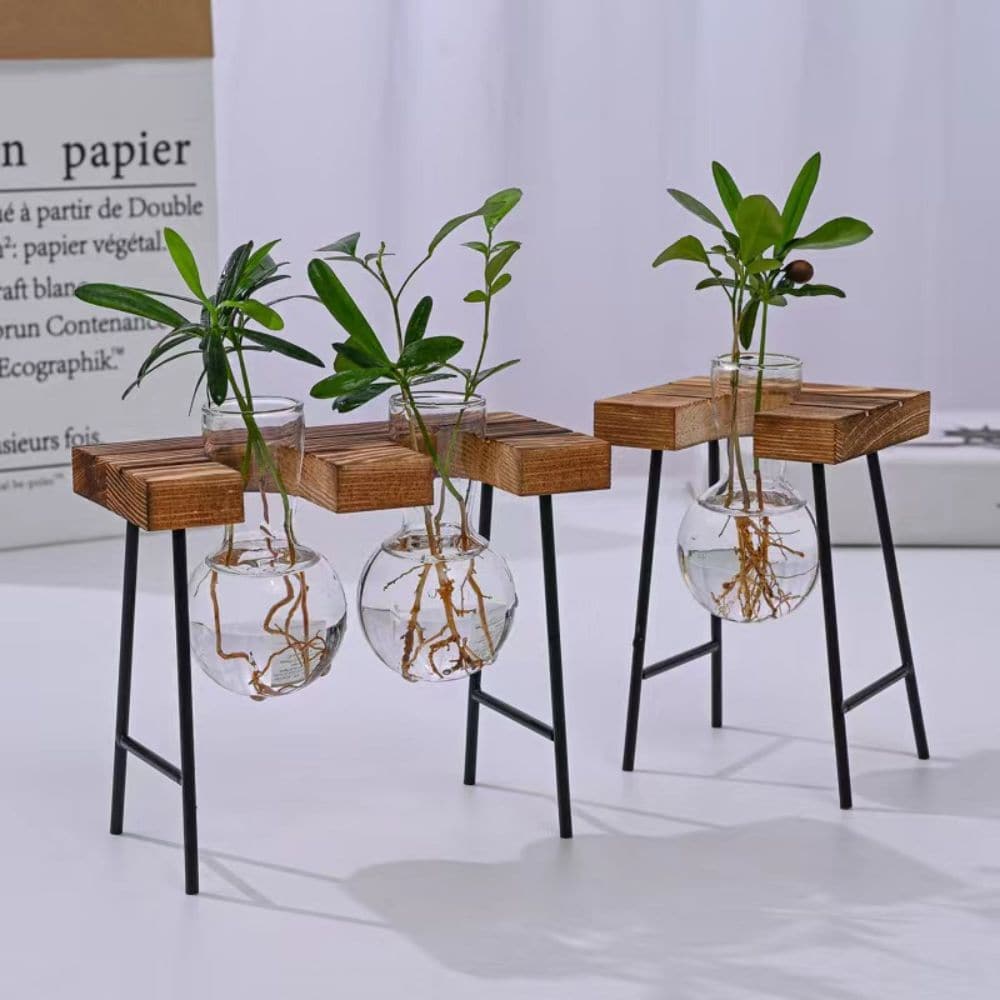 1 件裝植物繁殖站桌面空氣植物玻璃容器、玻璃花盆燈泡玻璃花瓶帶木架繁殖站適用於水耕植物家庭辦公室花園裝飾 - 棕色 - 查看 1