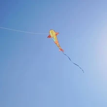 naranja Koi de pez cometa , talla grande cometa con saltando dragón diseño de puerta , con 100m cometa línea - Naranja - Ver 4