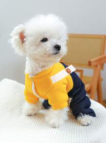 1 quần áo cho thú cưng chó mèo quần áo mùa đông lót cotton giữ nhiệt dày ấm áp Hello yếm - Vàng - Màu vàng - Xem 5