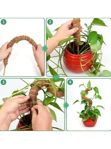 1 件-61 厘米長diy 可彎曲椰子棕櫚棒用於種植植物,苔蘚棒用於園藝 - 棕色 - 查看 6