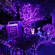 KBO JMEXSUSS 600 LED Orange Lights For Halloween Decor, Orange String Lights Outdoor Waterproof, Plug In Halloween String Christmas Light For Indoor Room Party Tree Yard Fall Decorations - Purple - View 6