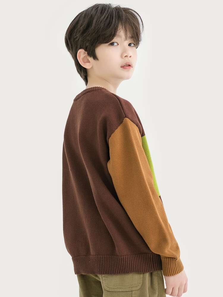 ילד טווין קז'ואל מחולק לצבעים סוודר סוודרים ל סתיו חורף - חום - ראה 6