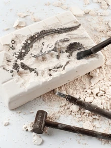 Juguete De Excavación Arqueológica De Brachiosaurus - Bronce - Ver 3