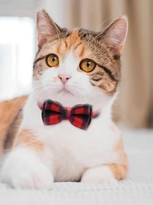 1 Pc Bowknot Decor Pet Collar - Red - View 3