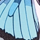 彩色