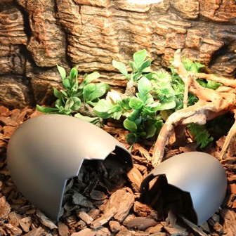 1pc Black Plastic Pet Burrow Hideout, Suitable For Spider, Snake, Lizard, Turtle, Hamster, Decoration