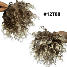Aplique Coque Afro Puff Cacheado, Rabo de Cavalo Afro, Cacho Orgâ nico Natural 120g 30cm Várias Cores - Champanhe - Visão 1