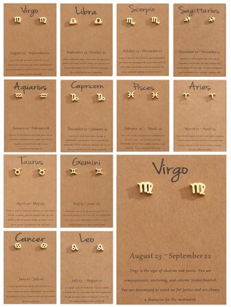 1 Pair Classic Stainless Steel Constellation Symbol Stud Earrings For Women For Daily Life