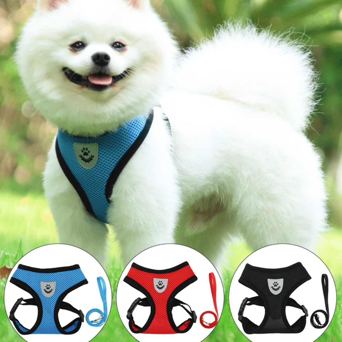 1套胸部和背部掛鈎帶,網狀材料,適用於戶外狗的散步 - 藍色 - 查看 1