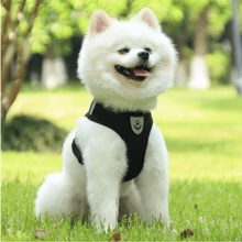 1組胸背牽引帶和網繩狗牽引繩,適用於戶外使用 - 黑色 - 查看 1