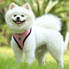 1set Chest And Back Strap With Rope, Mesh Dog Leash For Outdoor Use - Pink - View 2