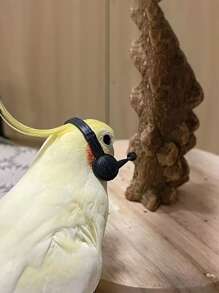 1pc Plastic Headset Funny Parrot Photo Toy Suitable For Hamsters For Photo Funny Toy - Black - View 4