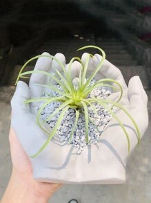 水泥花盆模具,矽膠手型花盆模具,適用於花園裝飾,混凝土煙灰缸模具,小珠寶及托盤用石膏模具 - 白色 - 查看 9