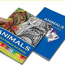 1入組動物和字母圖案書 - 藍色 - 查看 1