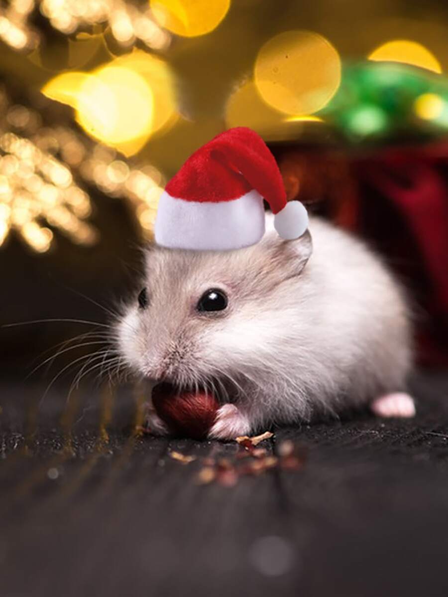 1pc Small Animals Pet Santa Claus Hat Rabbit Hamster Rats Festival Costume Christmas Cap with Band - Red and White - View 1