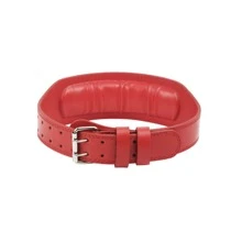 Red Waist Support Belt With 'no Pain No Gain' Print - Red - View 3