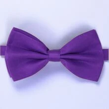 1pc Men's Adjustable Purple Double-layer Polyester Bow Tie, Suitable For Wedding, Party, Performance Or Daily Accessory - Purple - View 1